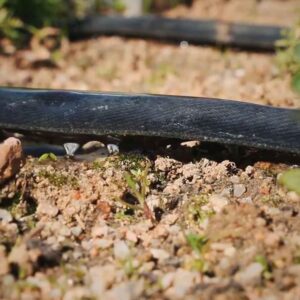 Cinta porosa Suinga 16mm x 25m para riego por goteo eficiente