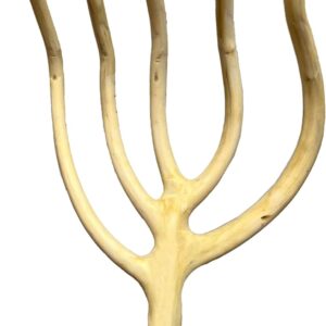 Horca de madera de almez 5 púas – 150 cm – Herramienta resistente