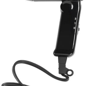 Secador de pelo plegable 12V para coche Riloer