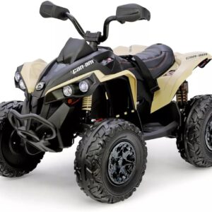 Quad eléctrico FINOOS CAN-AM 24V para niños +3 años