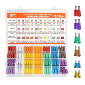 Juego de 300 fusibles para coche con maletín y extractor