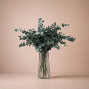 Ramo Flores Preservadas Eucalipto - Regalo Eterno Naturaleza