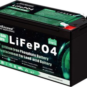 Batería Litio 12V 8Ah Lifepo4 - 3000 ciclos - EverExceed
