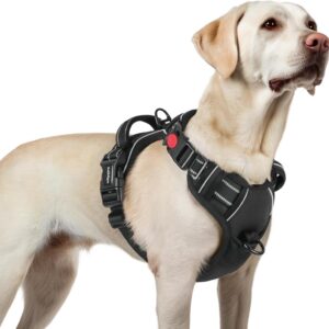 Arnés rabbitgoo para perro mediano, negro, con clip frontal