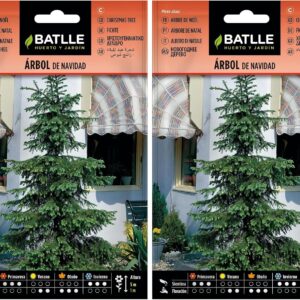 Semillas Batlle Picea abies - Árbol de Navidad (2 uds.)