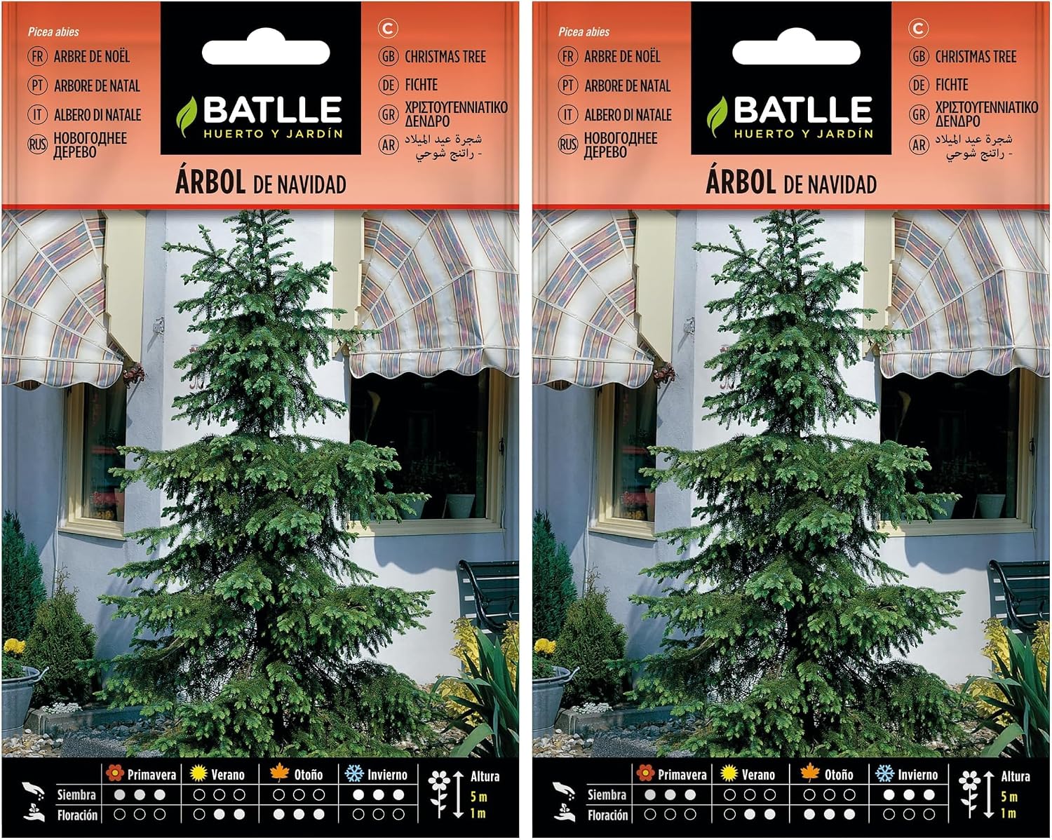 Semillas Batlle Picea abies - Árbol de Navidad (2 uds.)