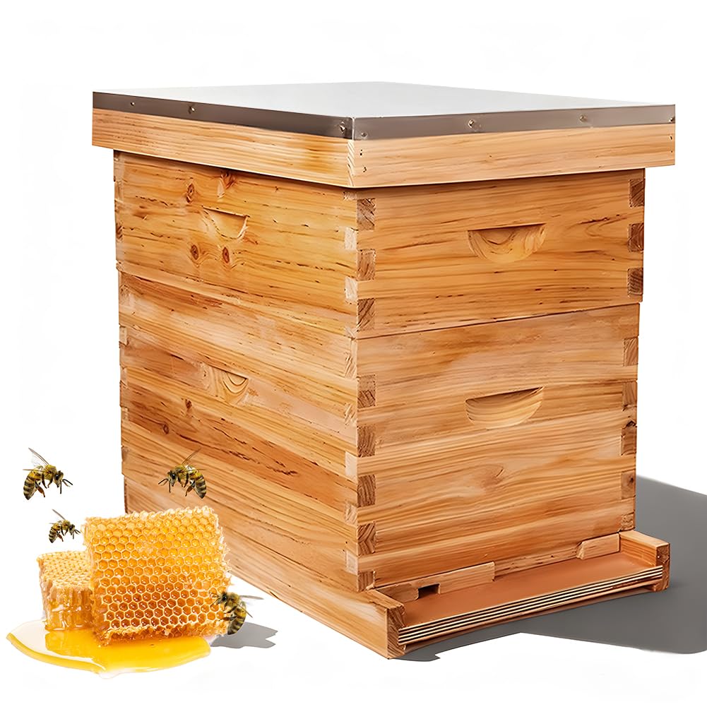 Colmena 10 marcos completa con cera de abejas Zertylre