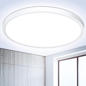 Lámpara LED plafón redondo Ø22cm 18W 6500K blanco frío