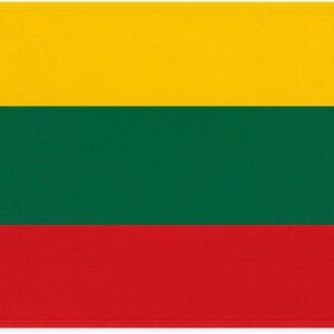 Bandera oficial de Lituania 150x90 cm con ojales
