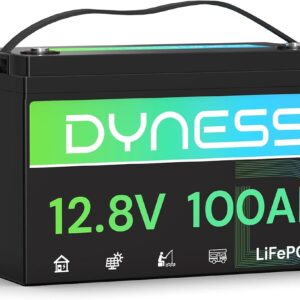 Dyness Batería LiFePO4 12V 100Ah con BMS 100A