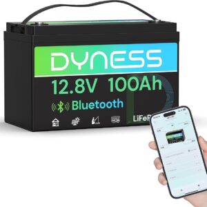 Batería Litio LiFePO4 12V 100Ah con Bluetooth Dyness