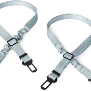 Amazon Basics: Cinturón de seguridad y cuenco para perros